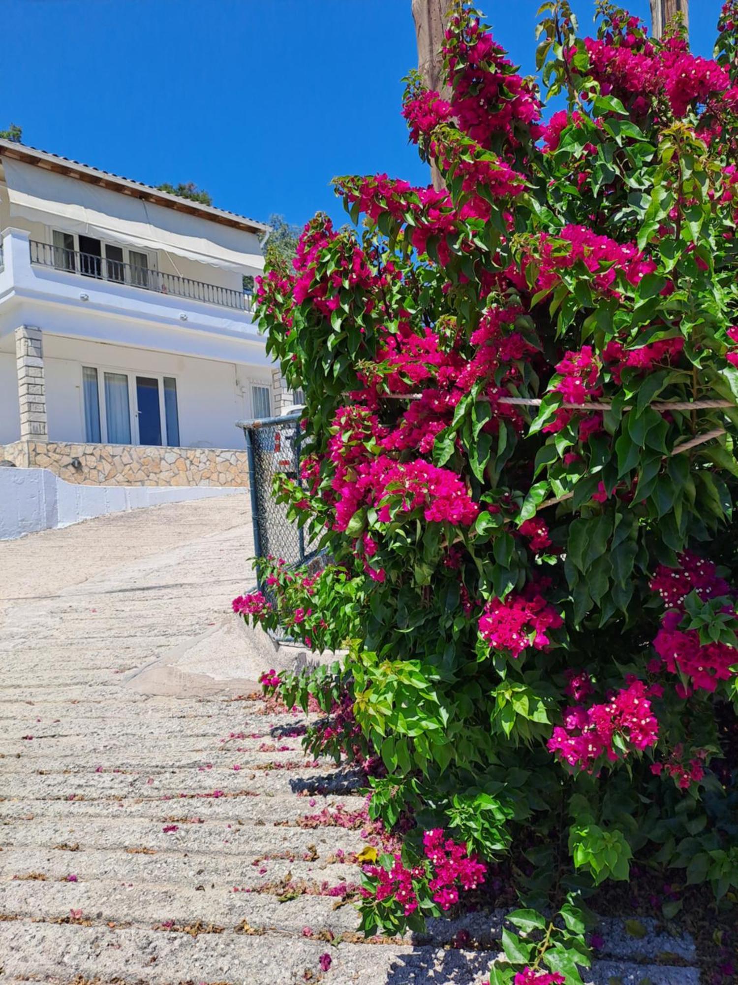 Appartement Bougainvillea Corfu  Exterior foto